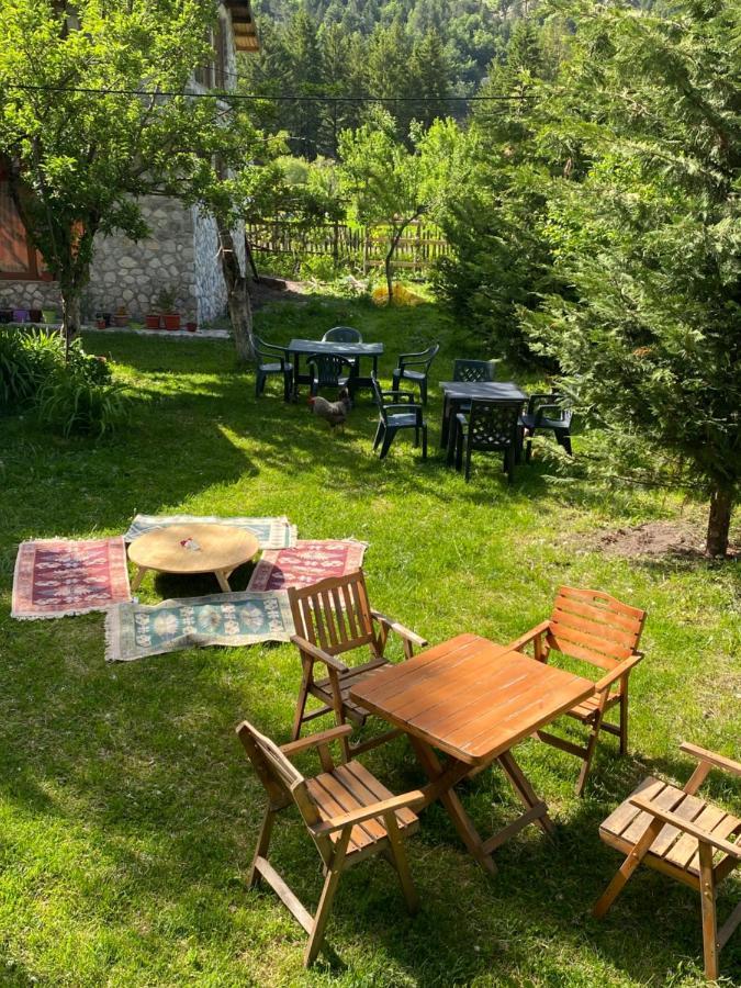 Guesthouse Demushi Valbona Exteriör bild