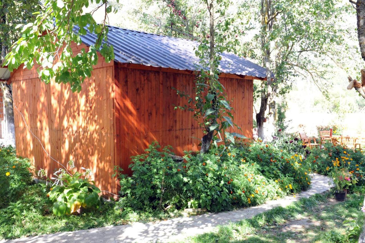Guesthouse Demushi Valbona Exteriör bild