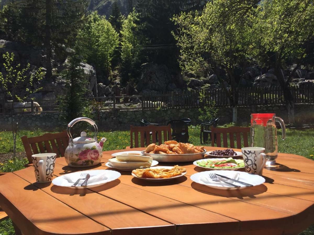 Guesthouse Demushi Valbona Exteriör bild