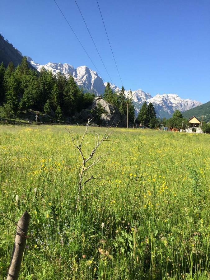 Guesthouse Demushi Valbona Exteriör bild